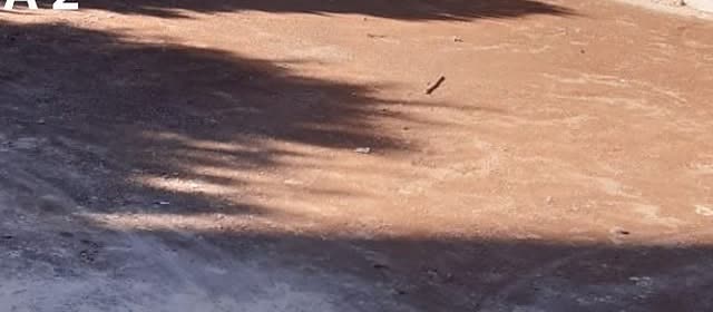 Etapa 2, preparación del terreno para adoquinado